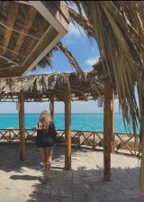 Миниатюра Индивидуалка Виолета Ботанический Фотография 