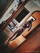 Миниатюра Индивидуалка Алина Уралмаш Фотография 