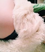 Миниатюра Индивидуалка Вероника Автовокзал Фотография 