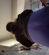 Миниатюра Индивидуалка Владлена Уралмаш Фотография 